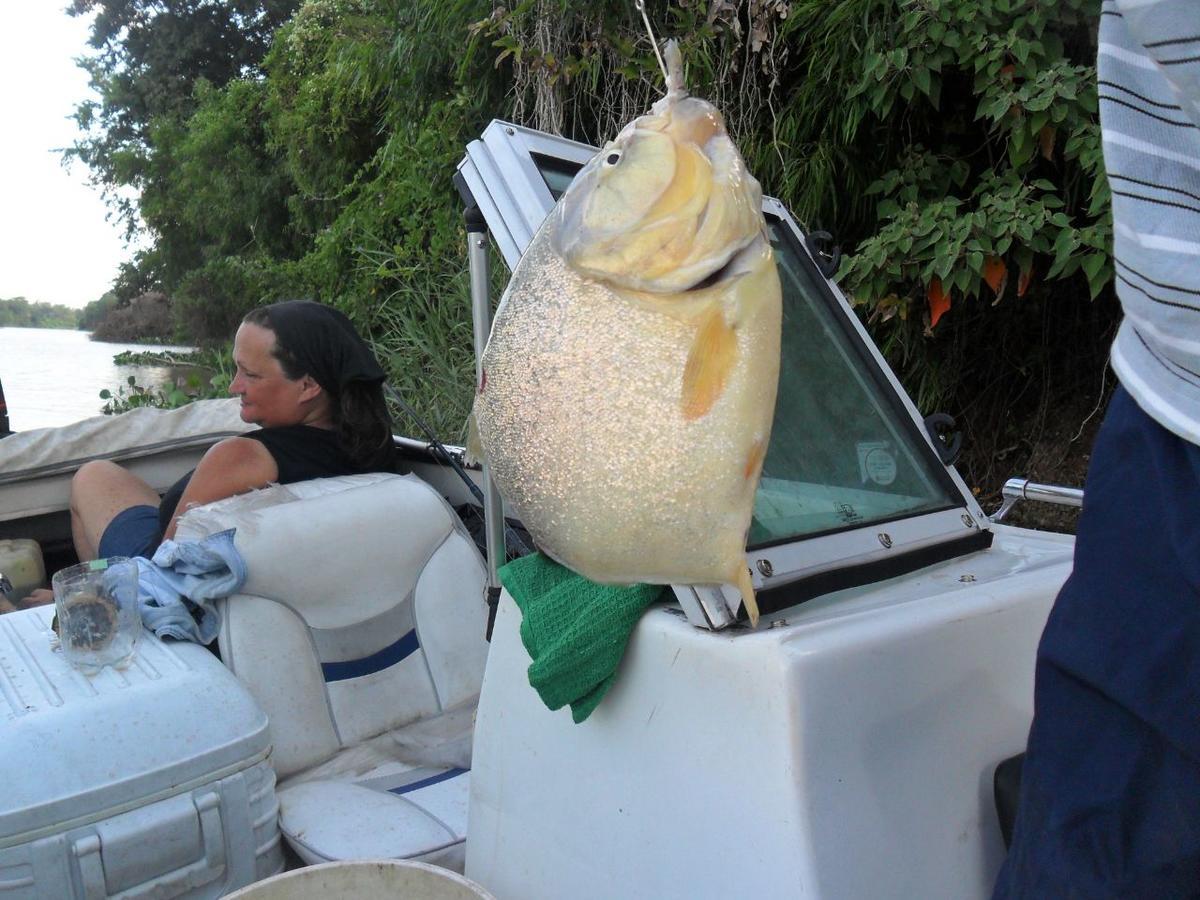 Coembota Cabanas Tigre Ruang foto
